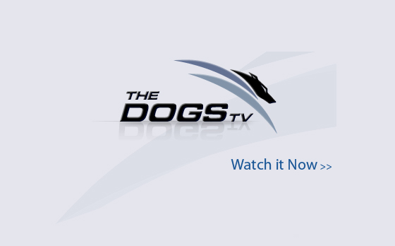 The Dogs TV